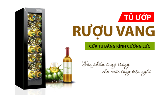 NGUYỄN ĐÌNH THẾ