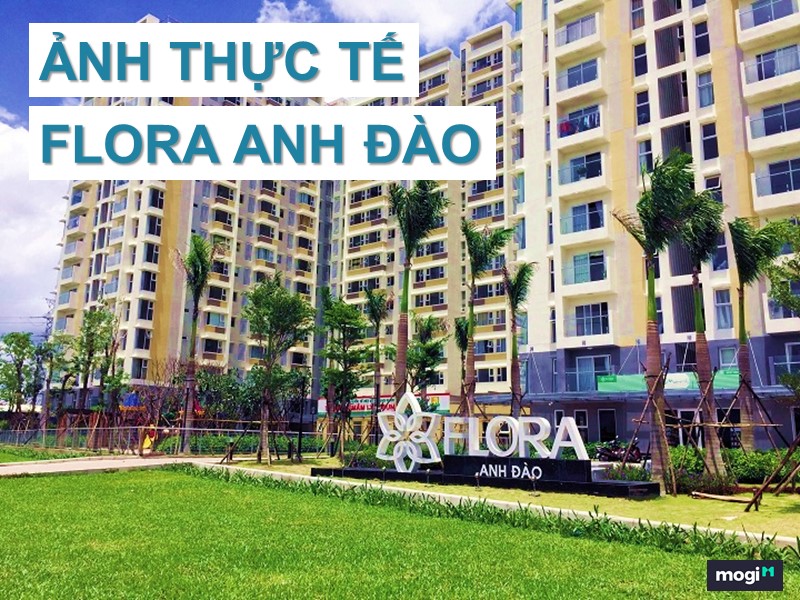 Mb6623 nạp rút nhanh chóng Flora Anh Đào Quận 9