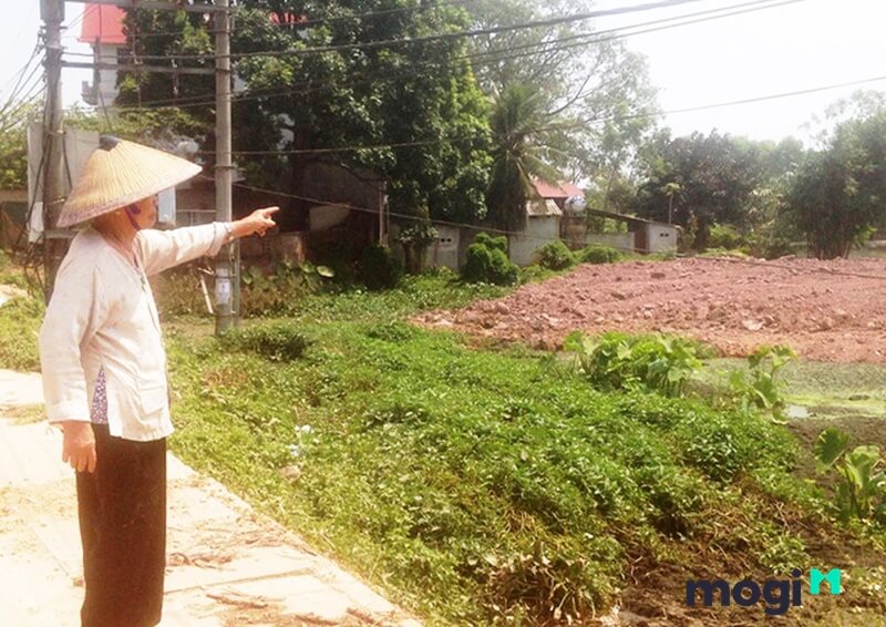 gia den bu dat nong nghiep khong thoa dang 1