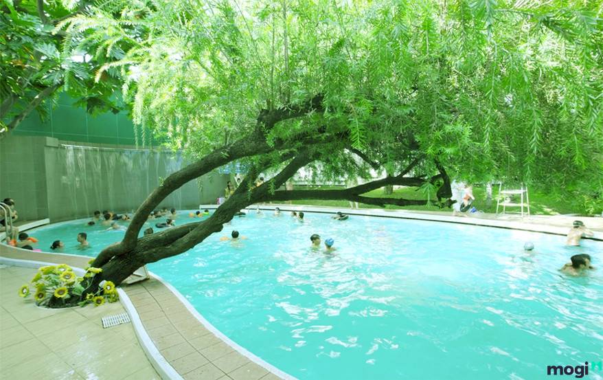 ho-boi-tay-thanh-4 hồ bơi tây thạnh tân phú