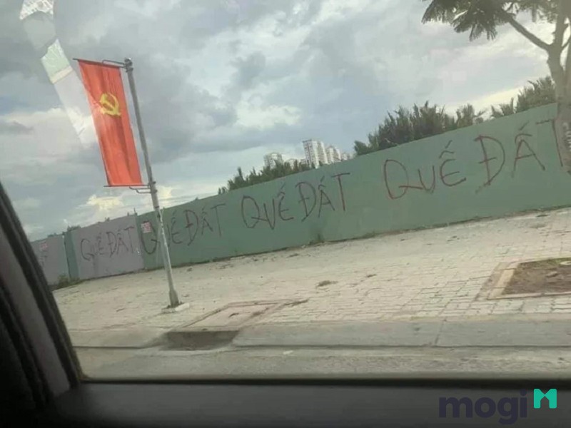 Quế đất trên tấm tôn là gì?