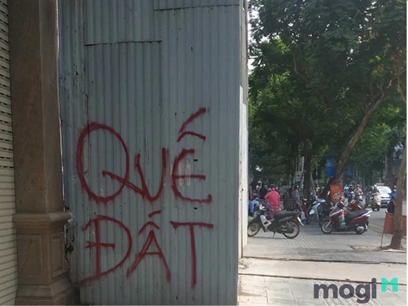 Quế đất còn được hiểu với nhiều nghĩa khác