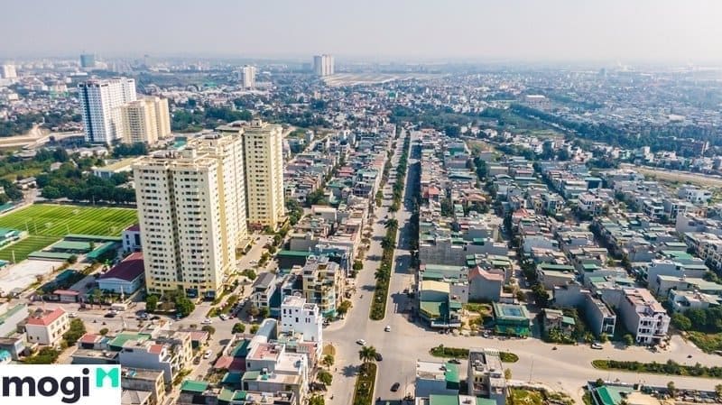 Long mạch tài lộc