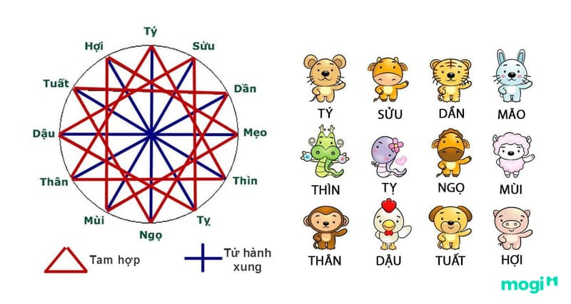 tứ hành xung tam hợp