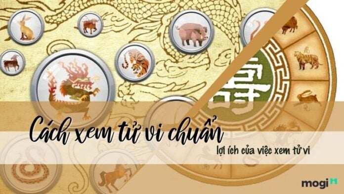 Cách xem tử vi
