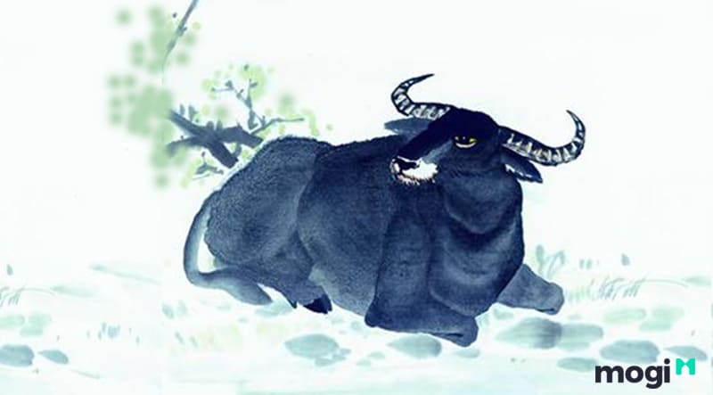 Người sinh 1997 hợp màu xanh da trời