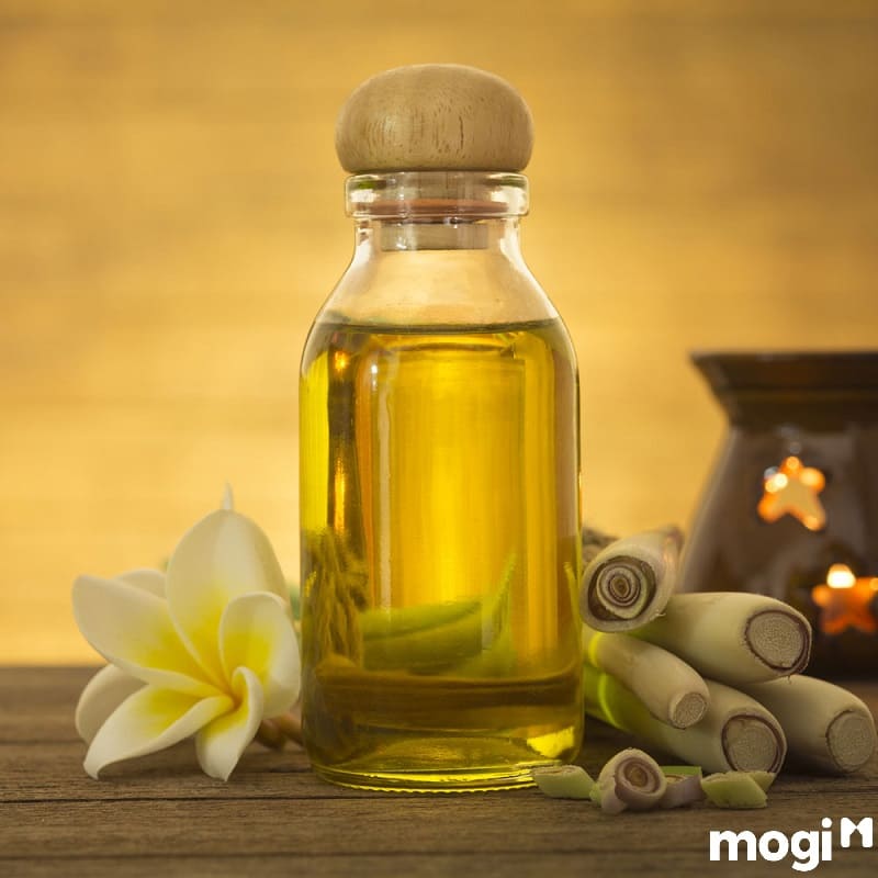 Cách xông nhà đơn giản giúp hóa giải xui xẻo, tẩy uế, trừ tà 10 xông nhà bằng sả gừng