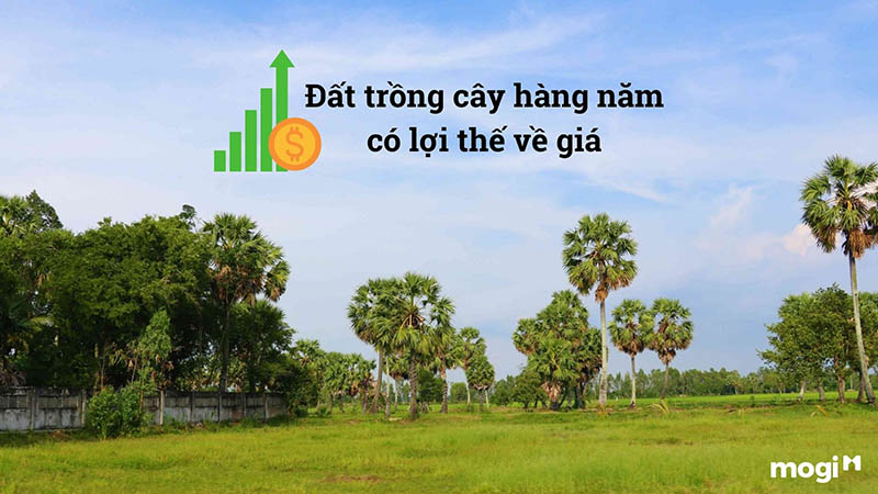Lợi thế về giá