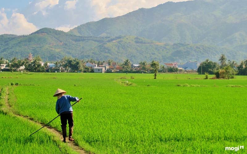 lợi thế về diện tích