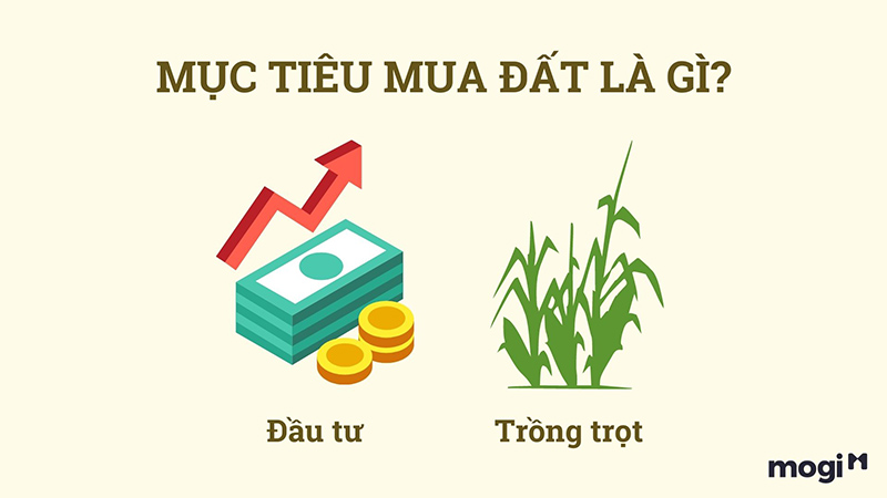 Xác định rõ mục tiêu