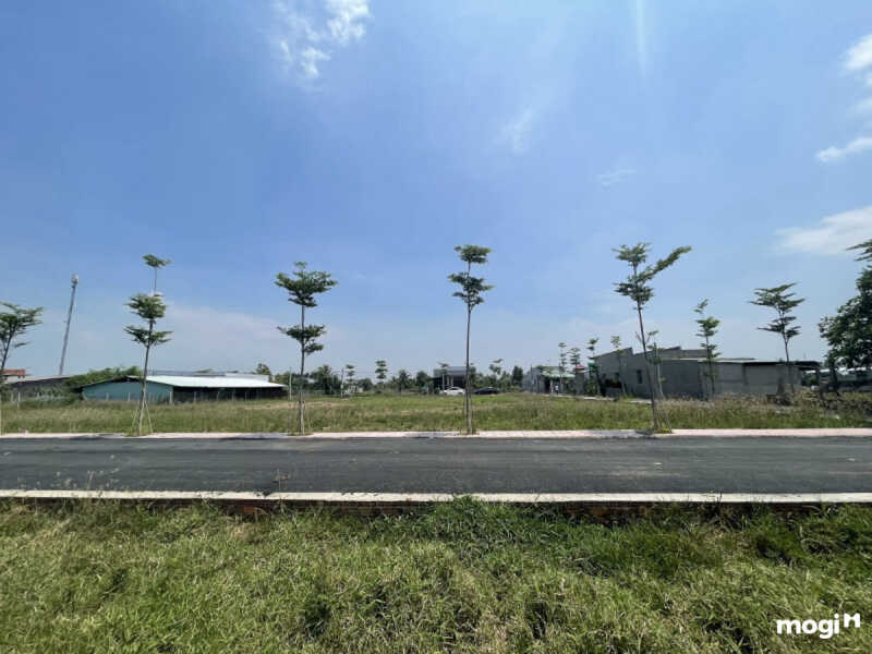 Lựa chọn vị trí đất