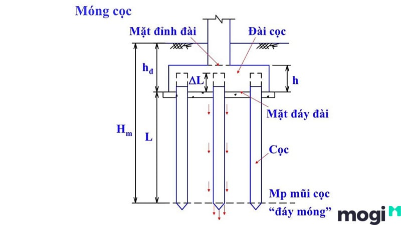 Cấu tạo của móng cọc