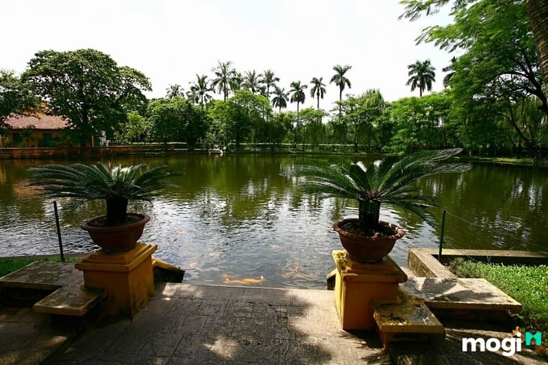 Ngôi nhà được bao quanh bỏi cây cối, sông nước