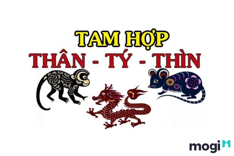 Tuổi thân, tý, thìn