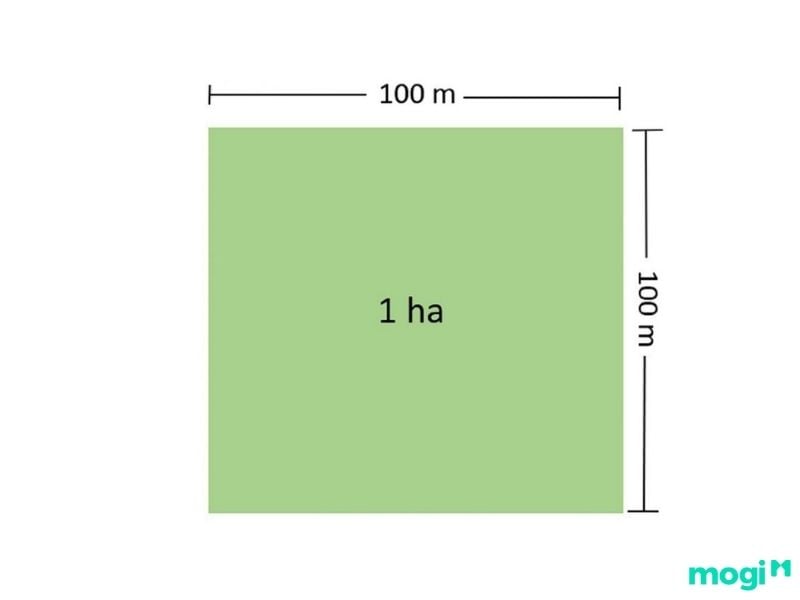 1 hecta đất bằng bao nhiêu m2