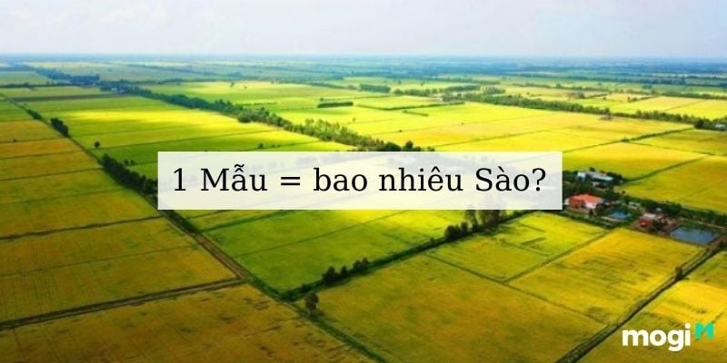 Sào là đơn vị đo phổ biến
