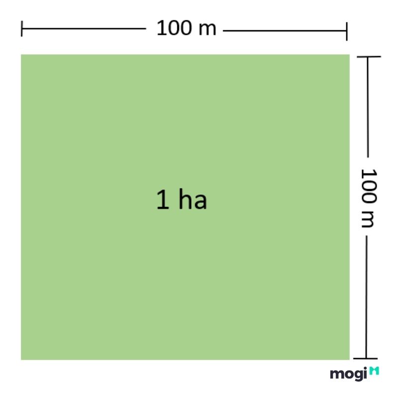 Mô tả kích thước 1 ha