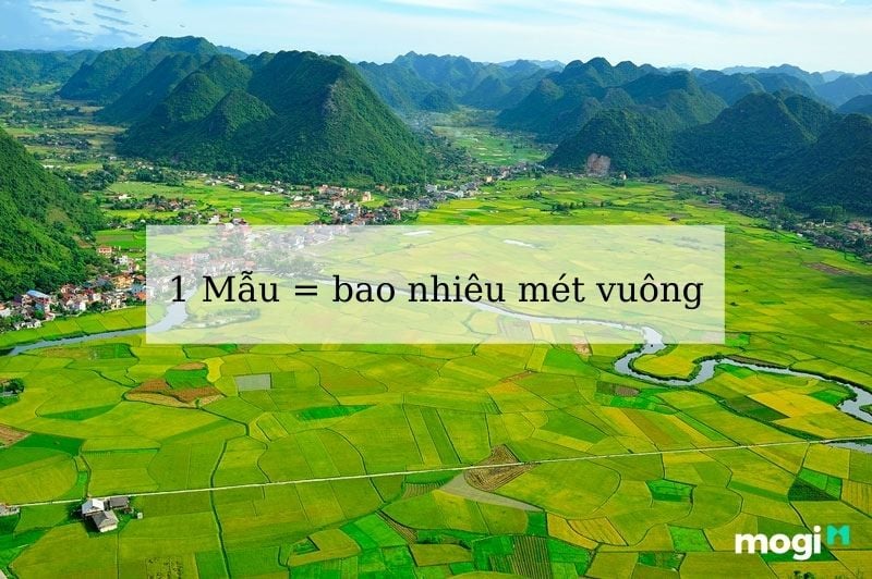 Đổi đơn vị đo đất