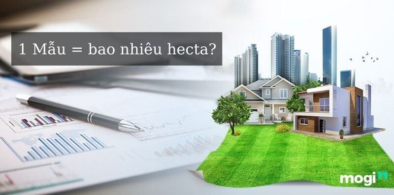 Mẫu đất bao nhiêu ha