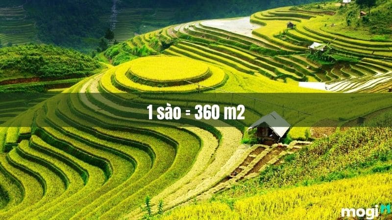 1 sào Bắc Bộ bằng 360 m2