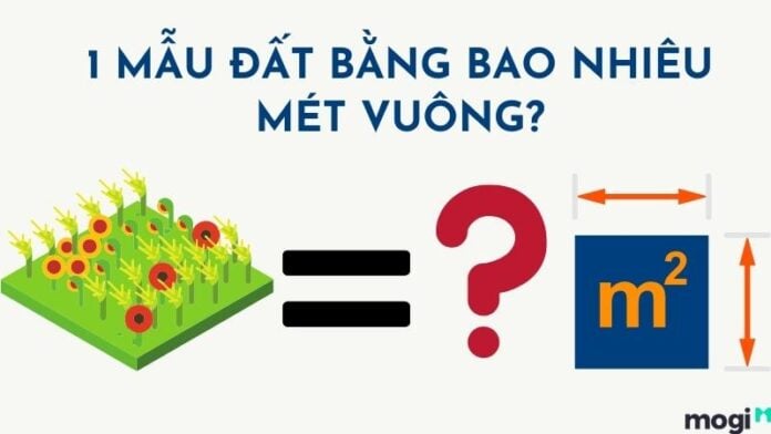 1 mẫu đất bao nhiêu mét vuông
