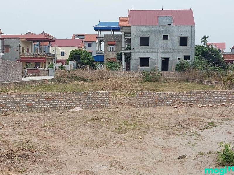 đất đấu giá là gì