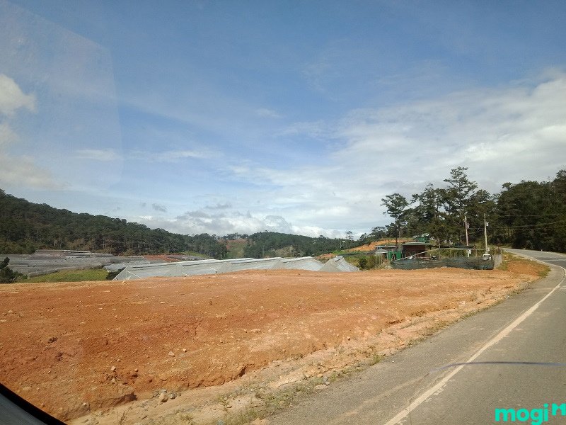 đất đấu giá là gì