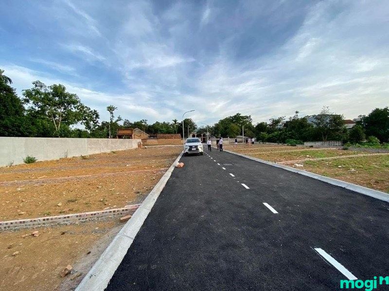 đất đấu giá là gì