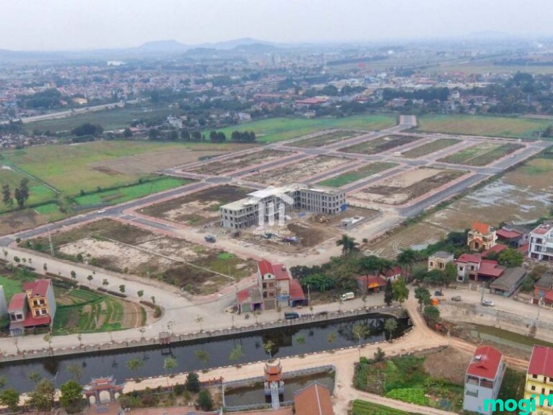 đất đấu giá là gì