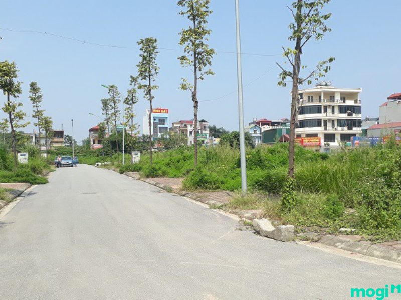đất đấu giá là gì