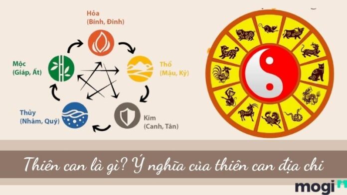 Thiên can là gì?