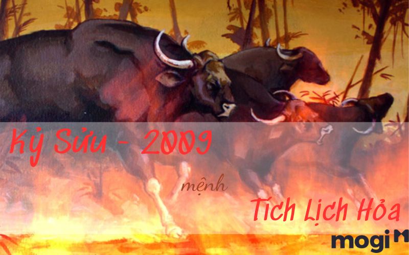 2009 mệnh gì