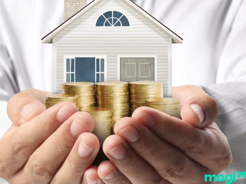 Các kiến thức chuyên môn 