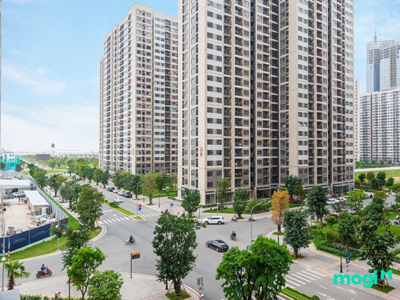 Ở đây có nhiều cây xanh mát.