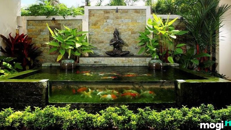 Hồ cá xi măng với kính