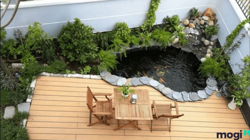 Hồ cá hình bán nguyệt