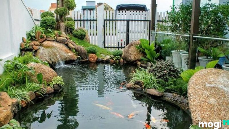 Chọn vị trí xây hồ cá
