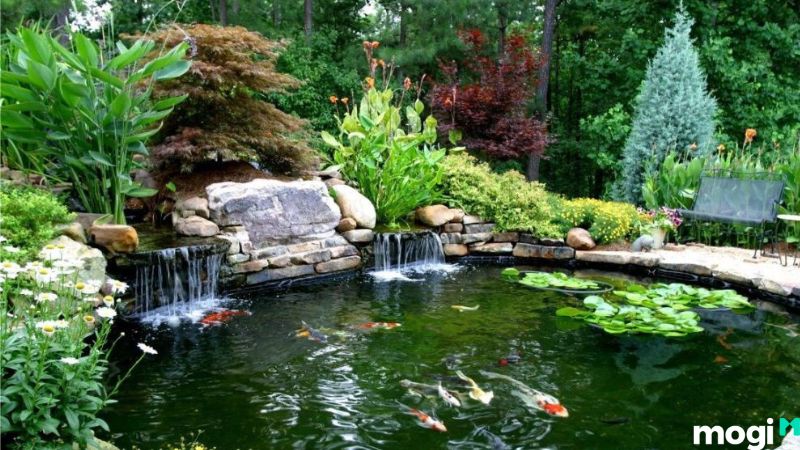 Tiểu cảnh hồ cá ngoài trời