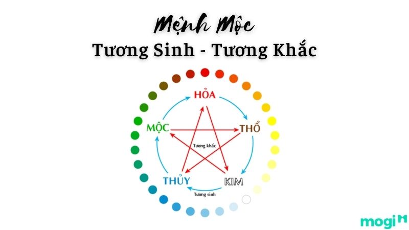 Mệnh mộc theo thuyết ngũ hành