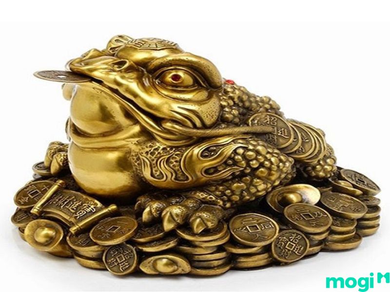Những điều kiêng kỵ khi đặt Kim Thiềm trong nhà