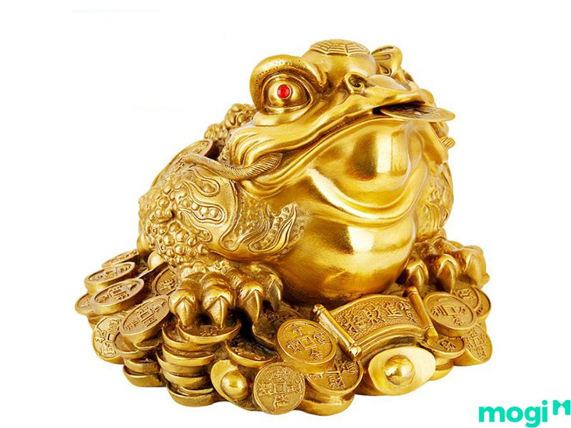 Chọn Kim Thiền có đế tiền mở rộng