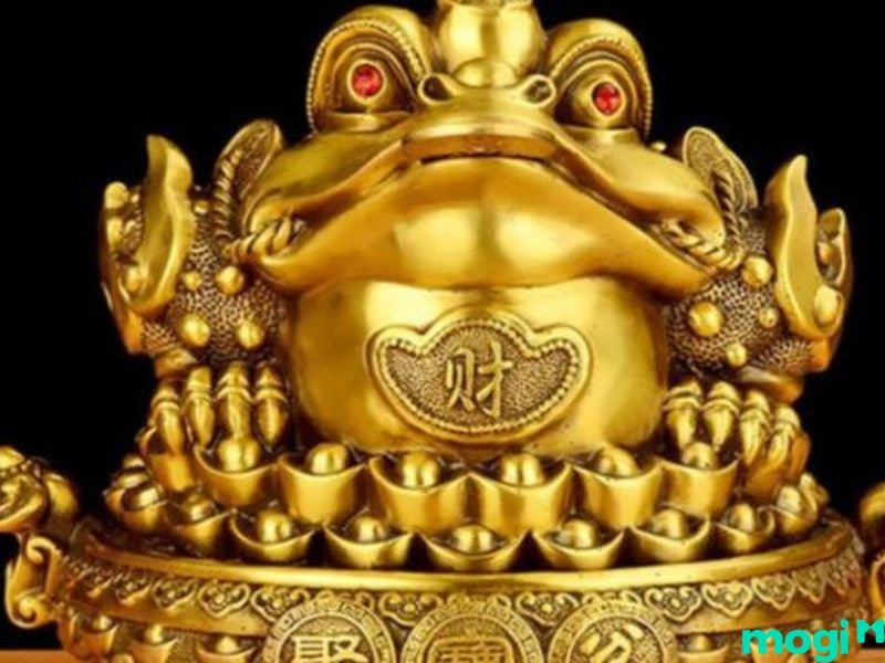 Người mệnh Kim nên chọn Kim Thiền màu xám bạc và màu vàng