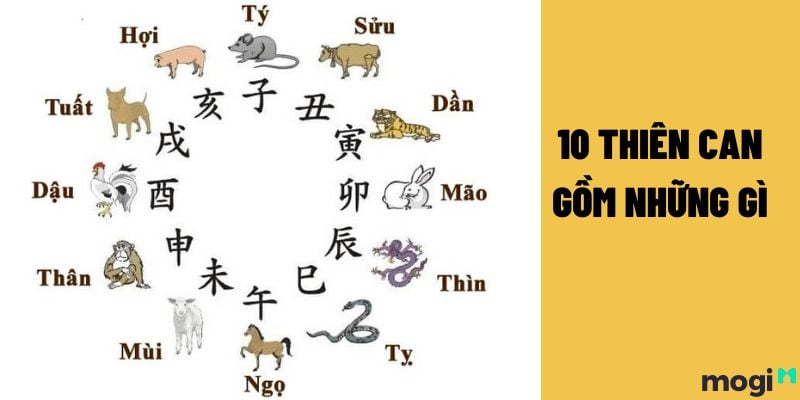 Thiên can tương hợp là gì?