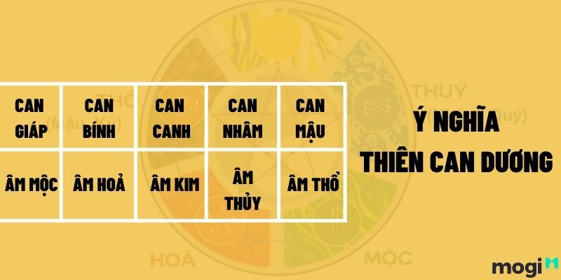 Ý nghĩa Thiên can trong Mb6688 đang hoakt động