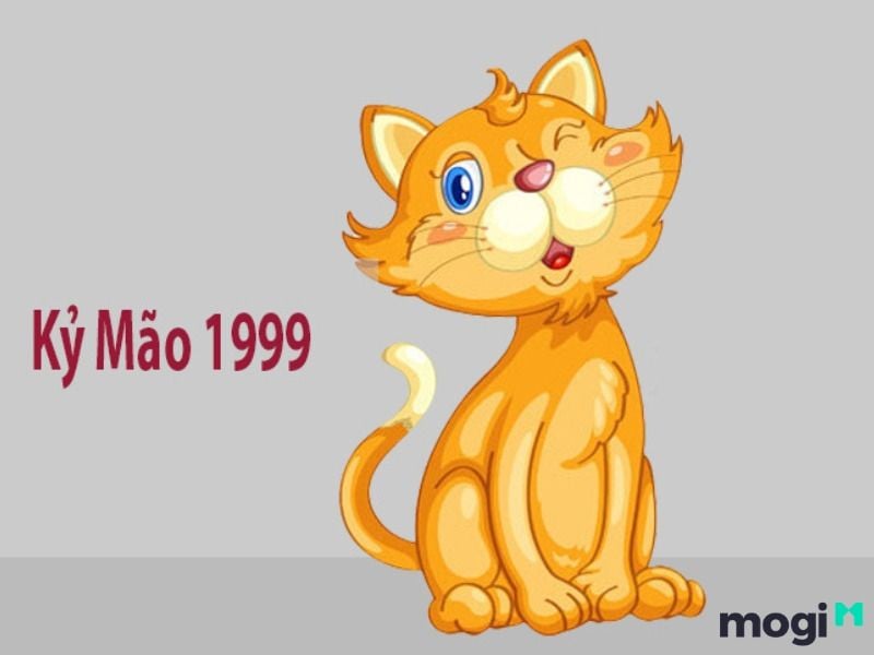 Sinh năm 1999 tuổi gì?