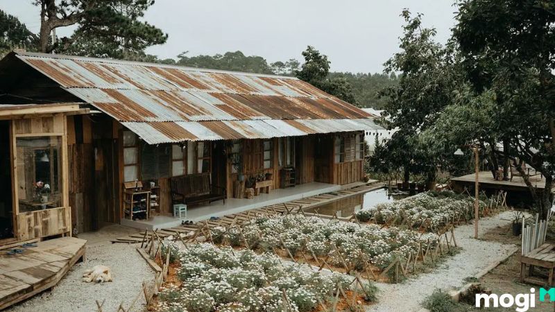 Tiệm cà phê Túi Mơ To