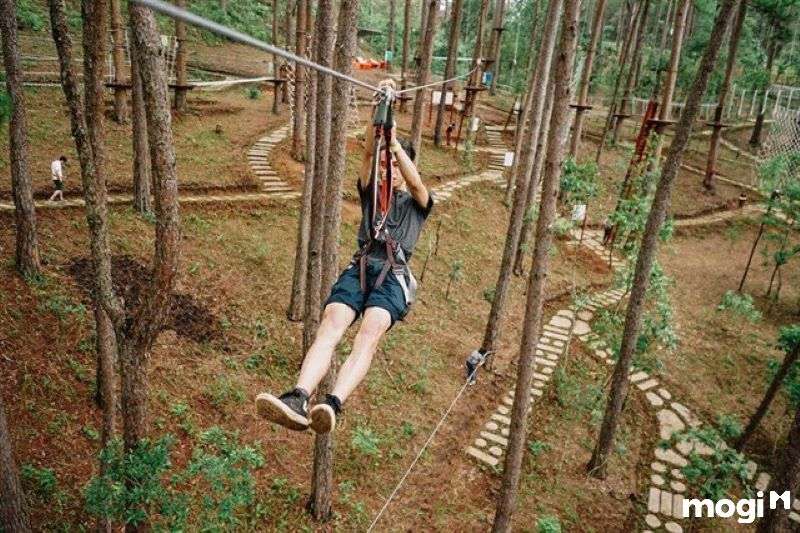 Datanla High Rope Course - địa điểm du lịch Đà Lạt cho ai thích vui chơi