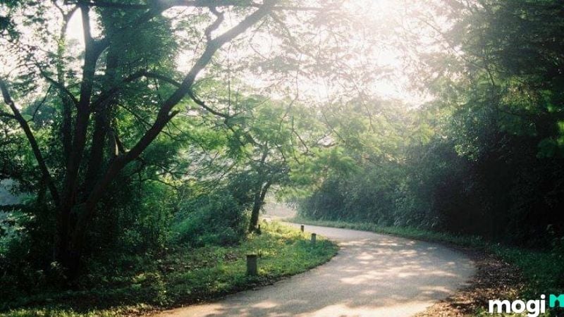 Vườn Quốc gia Ba Vì ở đâu