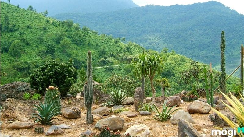 Lưu ý khi du lịch Ba Vì