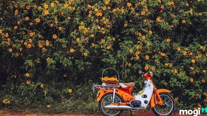 Du lịch Ba Vì bằng xe máy